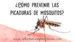 Como prevenir las picaduras de mosquitos