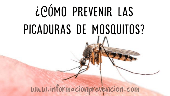 Como prevenir las picaduras de mosquitos