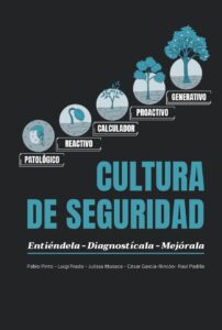 comprar Cultura de Seguridad: Entiéndela-Diagnostícala-Mejórala