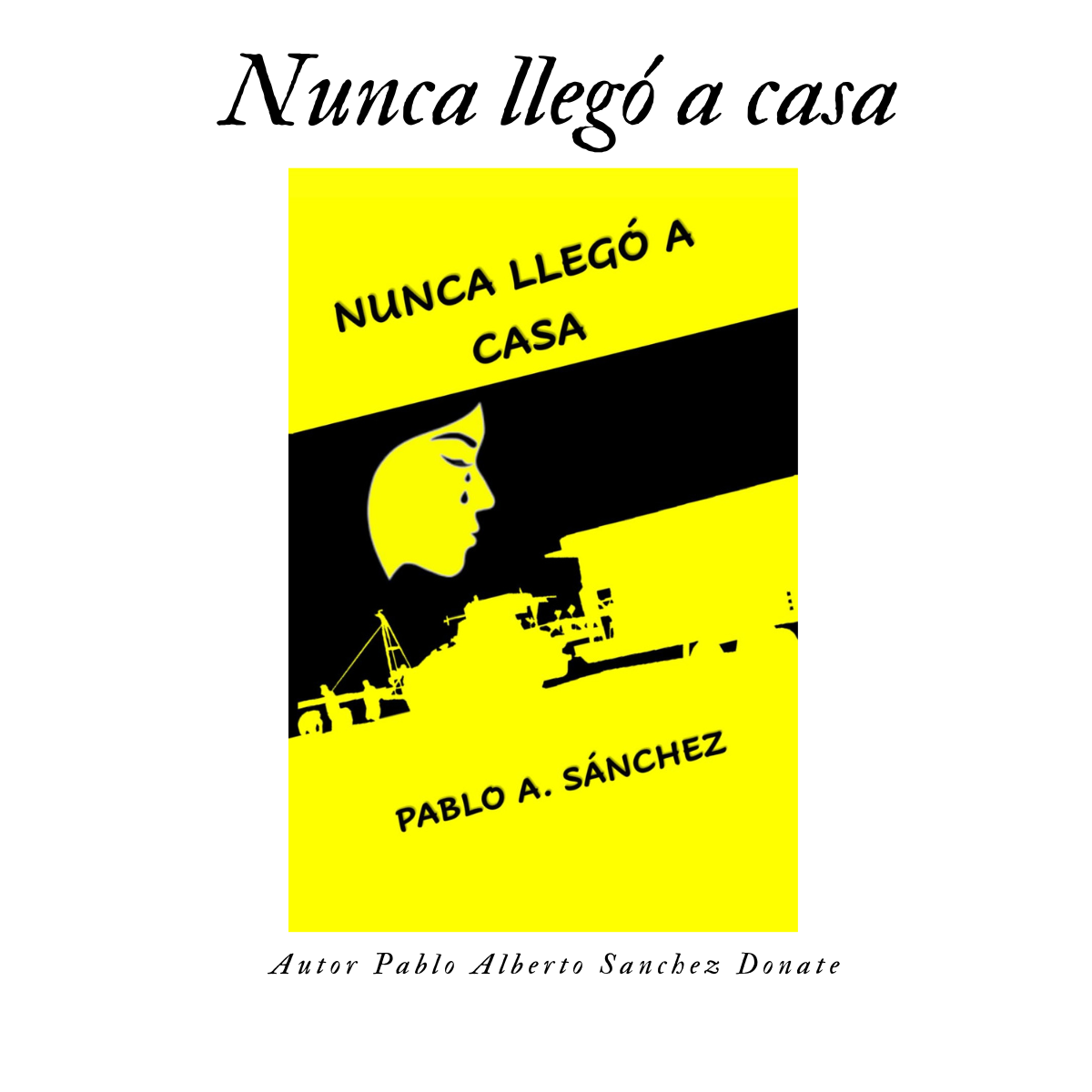 NUNCA LLEGÓ A CASA