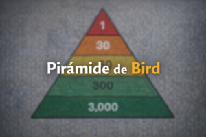 Piramide de bird