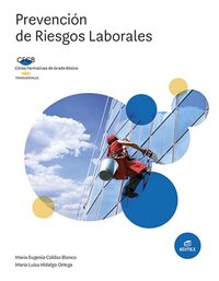 Comprar libro Prevención de riesgos laborales (FGB) (Formación Profesional Básica)