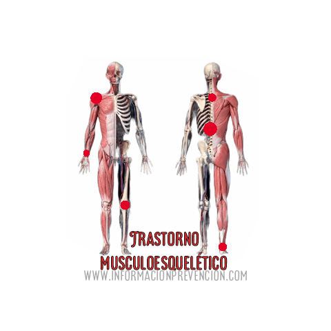 Transtornos musculoesqueléticos (TME)
