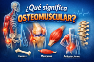 ¿Qué significa osteomuscular?